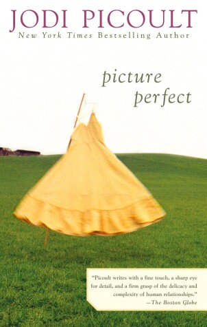 Book cover for Picture Perfect