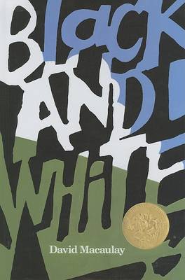 Book cover for Black and White