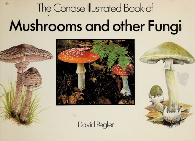 Book cover for Concise Illustrated Book of Mushrooms