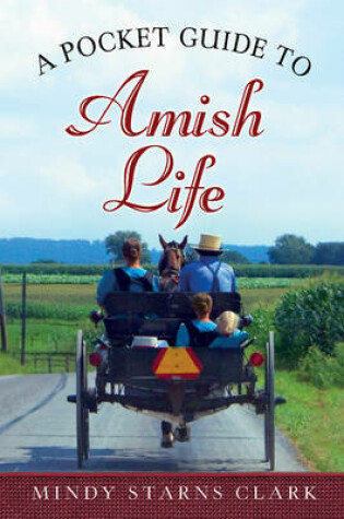 Cover of A Pocket Guide to Amish Life