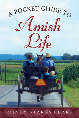 Book cover for A Pocket Guide to Amish Life