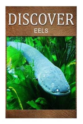 Book cover for Eels - Discover