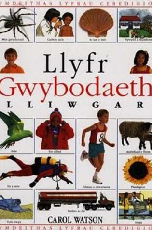 Cover of Llyfr Gwybodaeth Lliwgar