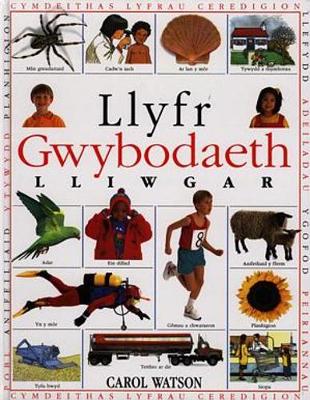 Book cover for Llyfr Gwybodaeth Lliwgar