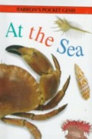 Cover of At the Sea