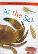 Book cover for At the Sea