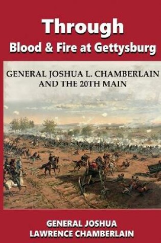 Cover of Through Blood and Fire at Gettysburg