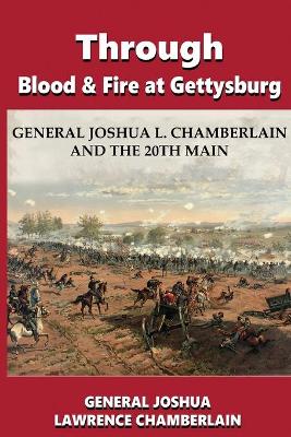 Book cover for Through Blood and Fire at Gettysburg