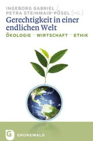 Cover of Gerechtigkeit in Einer Endlichen Welt