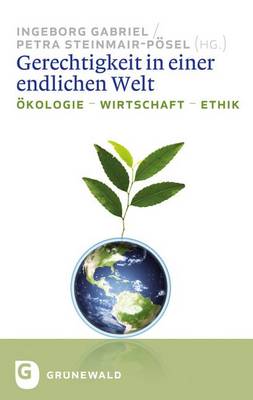 Book cover for Gerechtigkeit in Einer Endlichen Welt