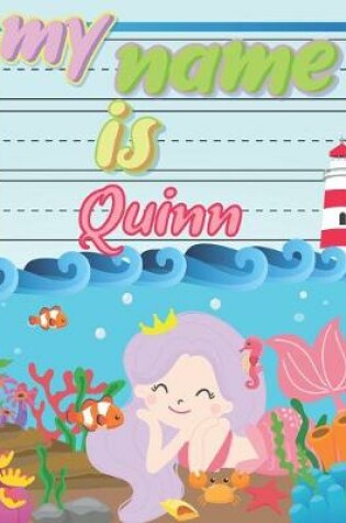 Cover of My Name is Quinn