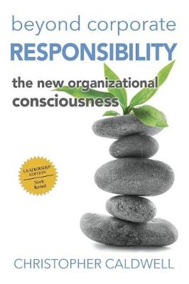 Book cover for Beyond Corporate Responsibility