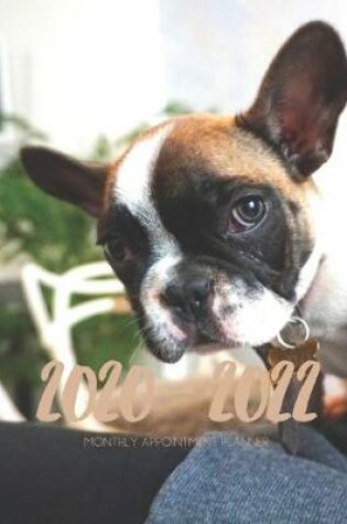 Cover of 2020-2022 Three 3 Year Planner French Bulldog Monthly Calendar Gratitude Agenda Schedule Organizer