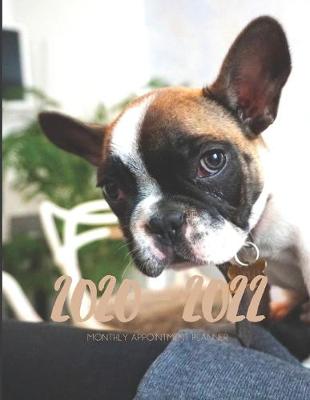 Book cover for 2020-2022 Three 3 Year Planner French Bulldog Monthly Calendar Gratitude Agenda Schedule Organizer