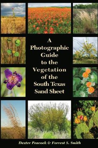Cover of A Photographic Guide to the Vegetation of the South Texas Sand Sheet