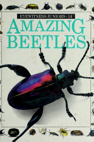 Cover of Amazing Beetles