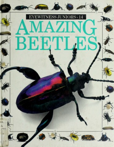 Book cover for Amazing Beetles