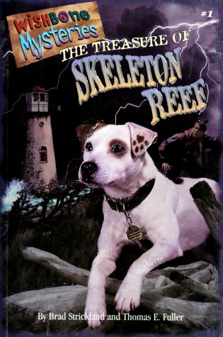 Cover of The Wishbone Mysteries