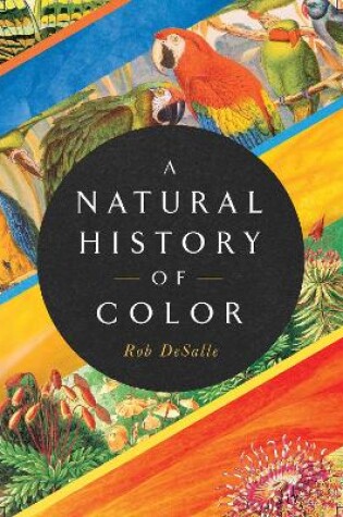 Cover of A Natural History of Color