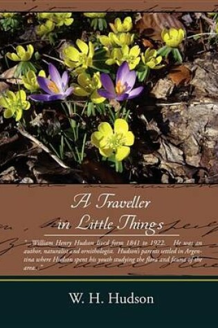 Cover of A Traveller in Little Things