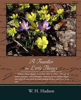 Cover of A Traveller in Little Things