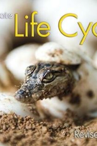 Cover of Life Cycles (Investigate!)