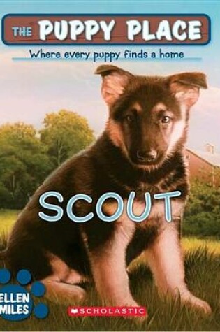 Cover of Scout