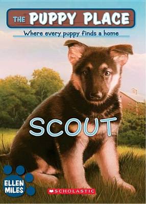 Book cover for Scout