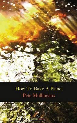 Book cover for How To Bake A Plant