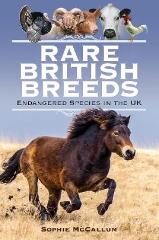 Cover of Rare British Breeds