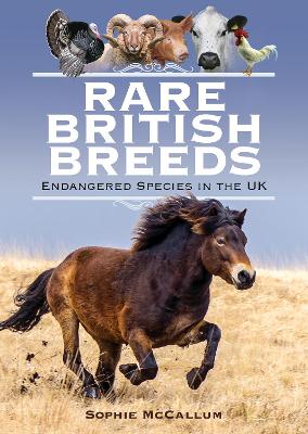 Book cover for Rare British Breeds