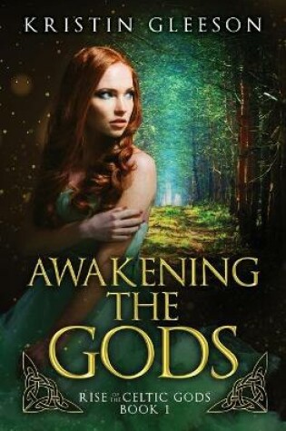 Cover of Awakening the Gods