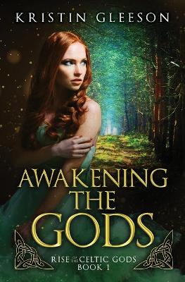 Book cover for Awakening the Gods