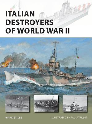 Cover of Italian Destroyers of World War II