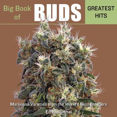 Book cover for Big Book Of Buds Greatest Hits
