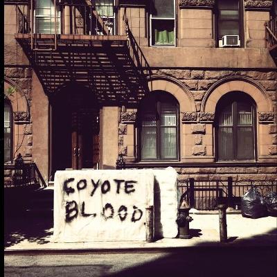 Book cover for Coyote Blood Will Kill/Love You