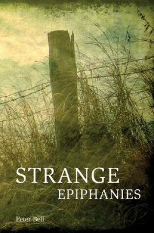 Cover of Strange Epiphanies