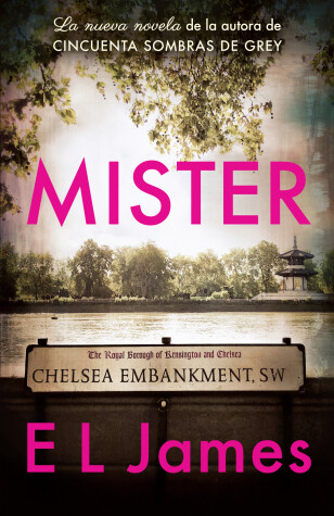 Book cover for Mister / The Mister