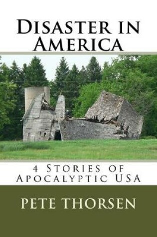 Cover of Disaster in America