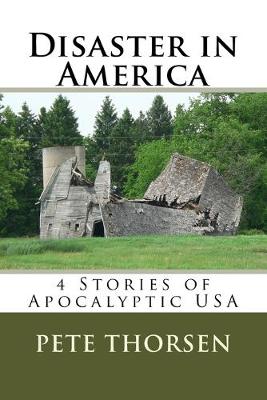 Book cover for Disaster in America