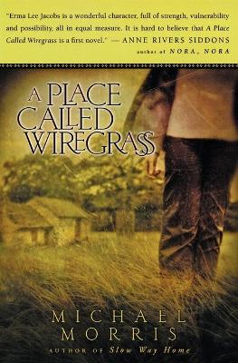 Book cover for A Place Called Wiregrass