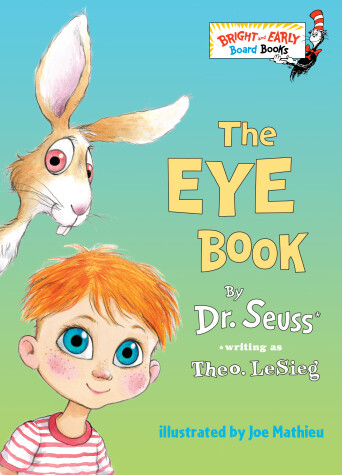 Book cover for The Eye Book