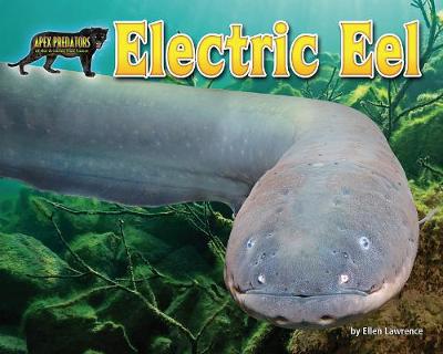 Book cover for Electric Eel