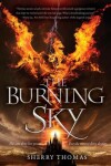 Book cover for The Burning Sky