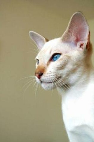 Cover of Flame Point Siamese Cat Journal
