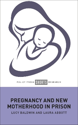 Book cover for Pregnancy and New Motherhood in Prison