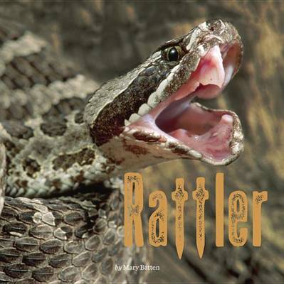 Book cover for Rattler