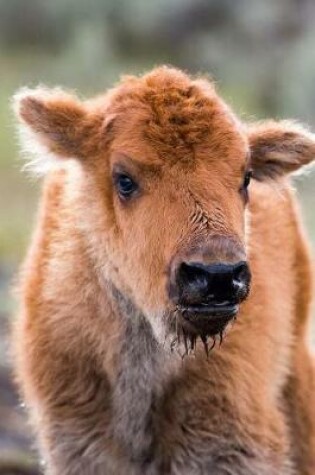 Cover of Baby Buffalo Calf Portrait Journal