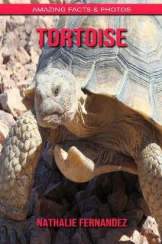 Cover of Tortoise