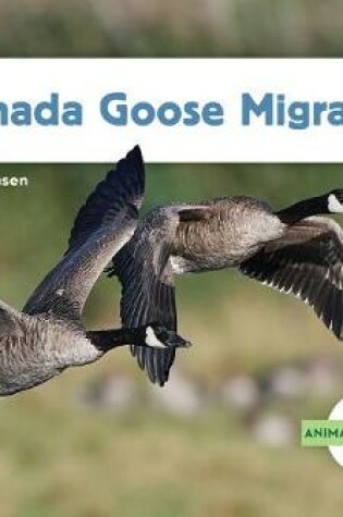 Cover of Canada Goose Migration